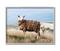 Stupell Industries Sweater Weather Sheep Animal Farm Plaid Gray Framed Wall Art